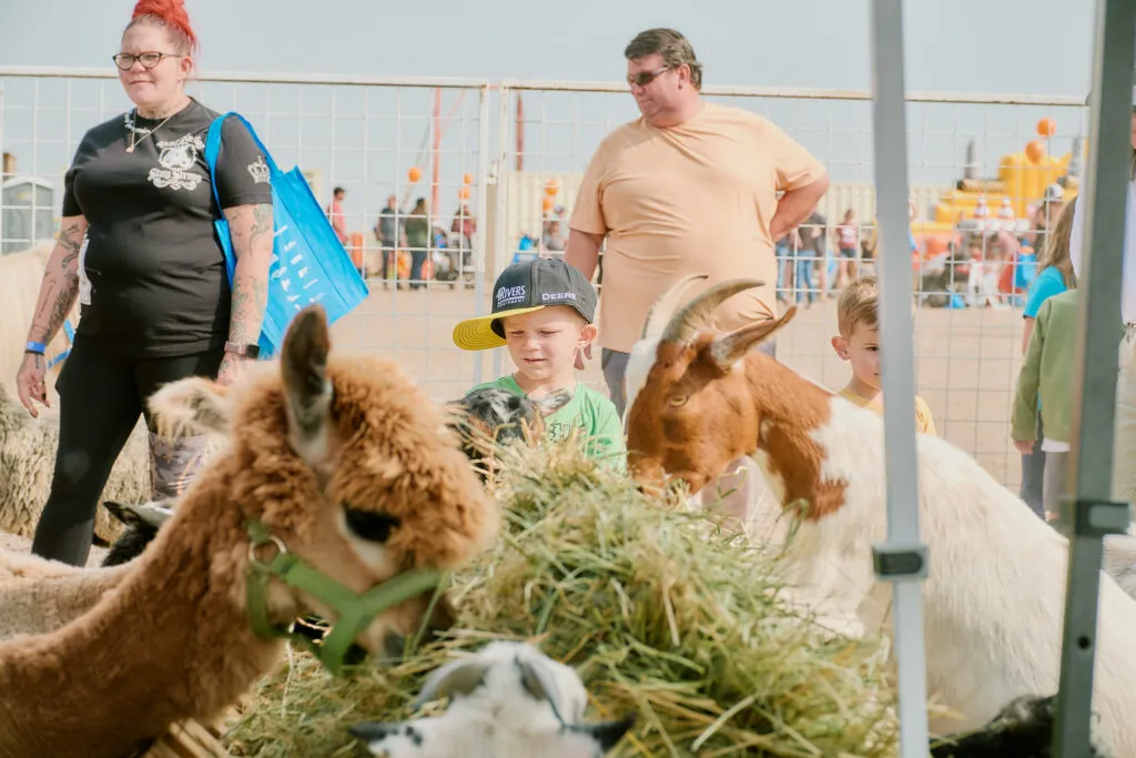 BD2-1024x683 -compressed.webp