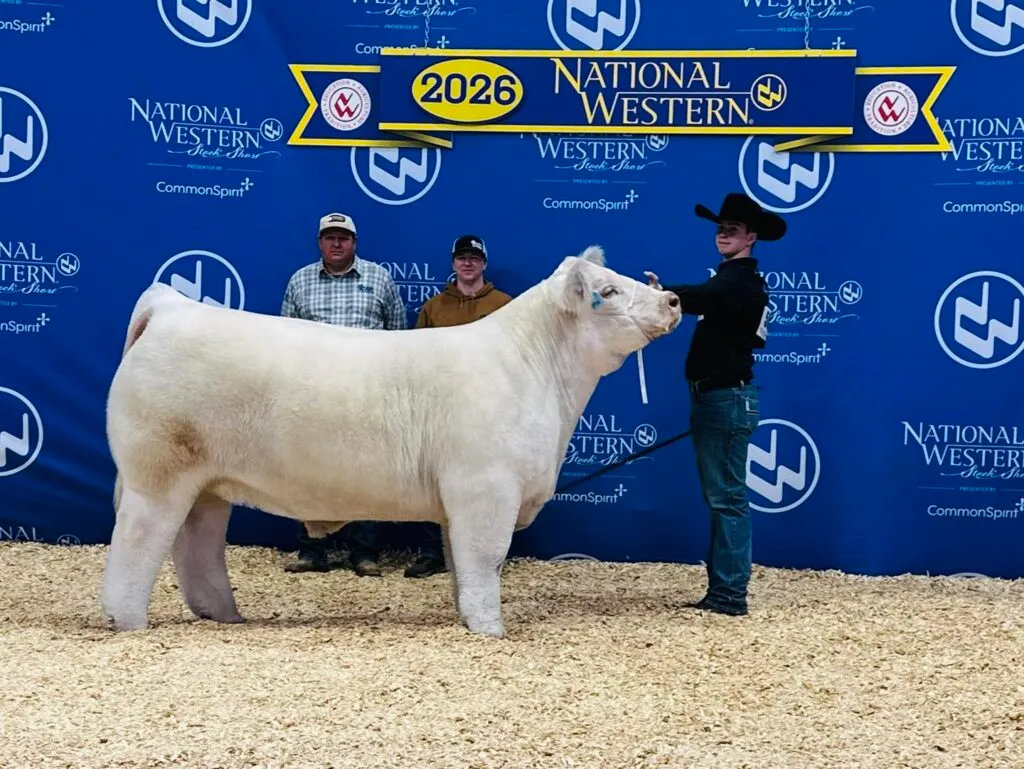 Ty-1-1-1024x769 -compressed.webp