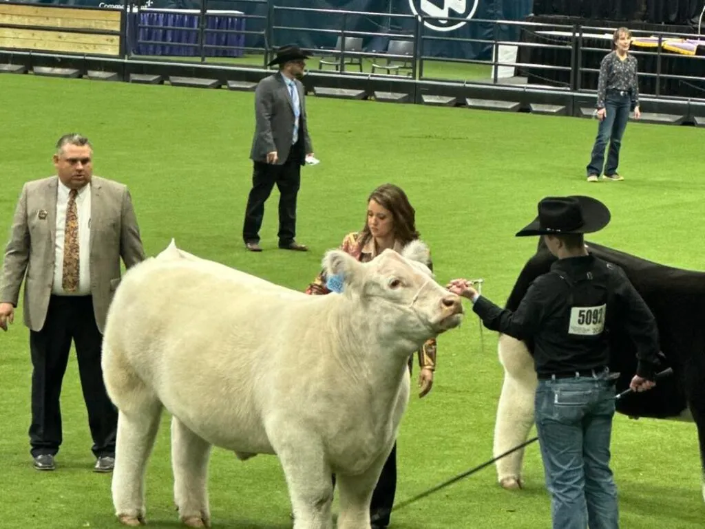 Ty-2-1024x769 -compressed.webp