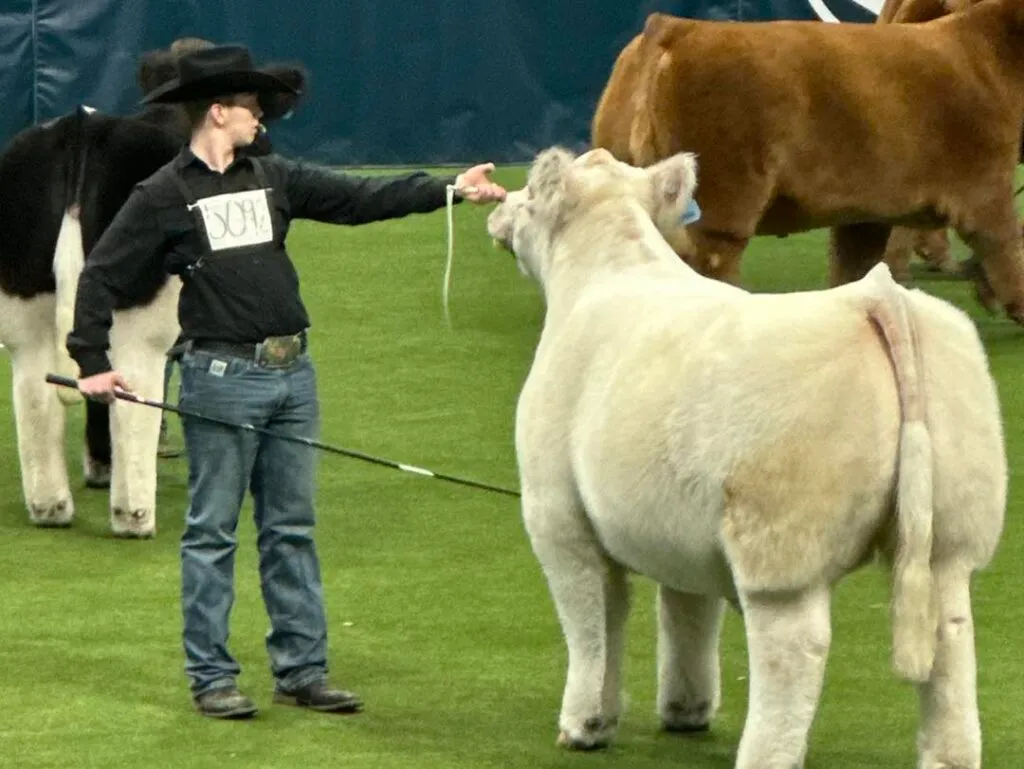 Ty-3-1024x769 -compressed.webp