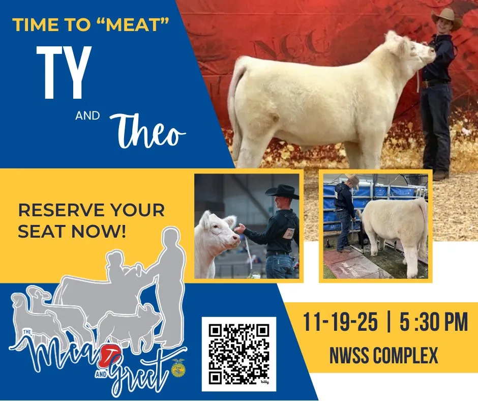 Ty-5 -compressed.webp