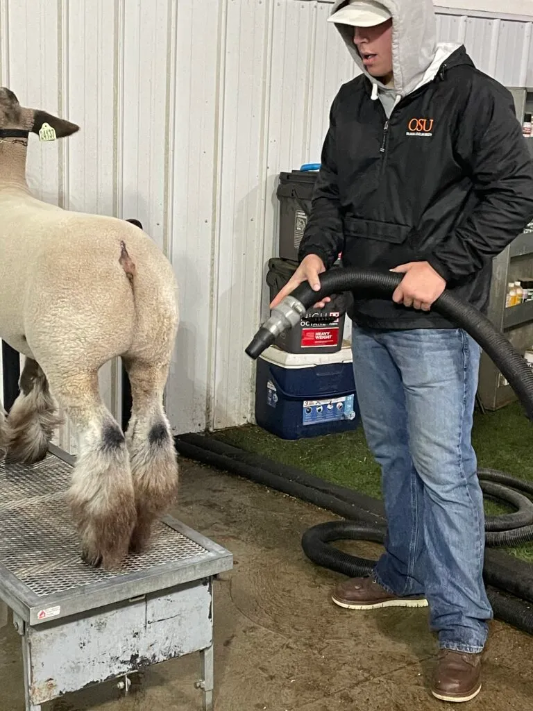 cal-pic-3-768x1024 -compressed.webp