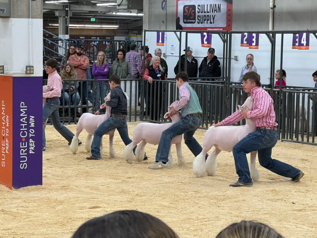 cal1-1024x768 -compressed.webp