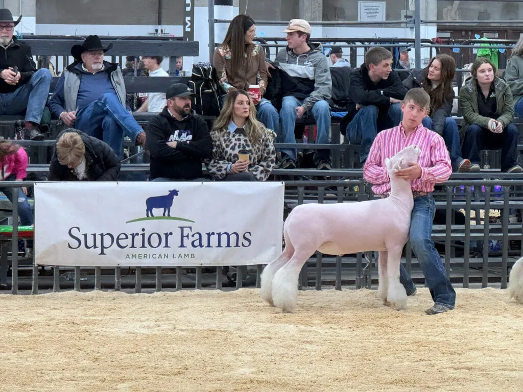 cal3-1-1024x768 -compressed.webp